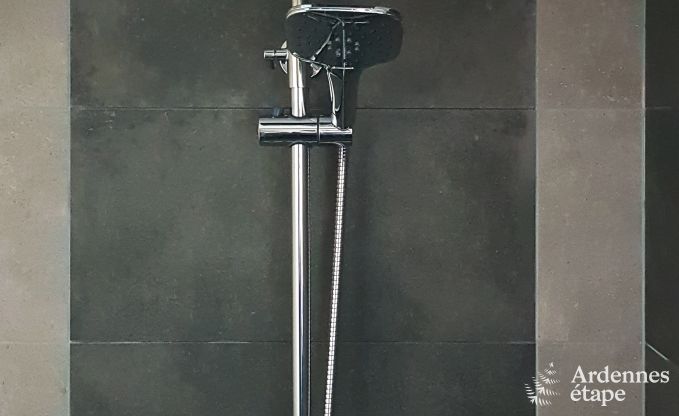 Ferienhaus Waimes 9 Pers. Ardennen Wellness