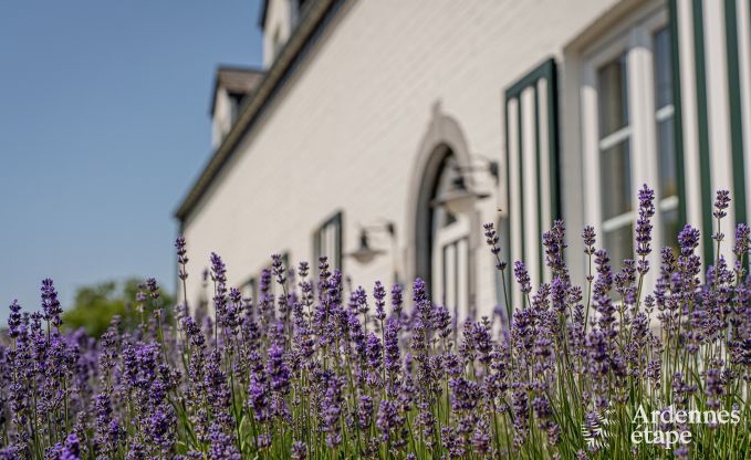 Ferienhaus Wellin 14 Pers. Ardennen