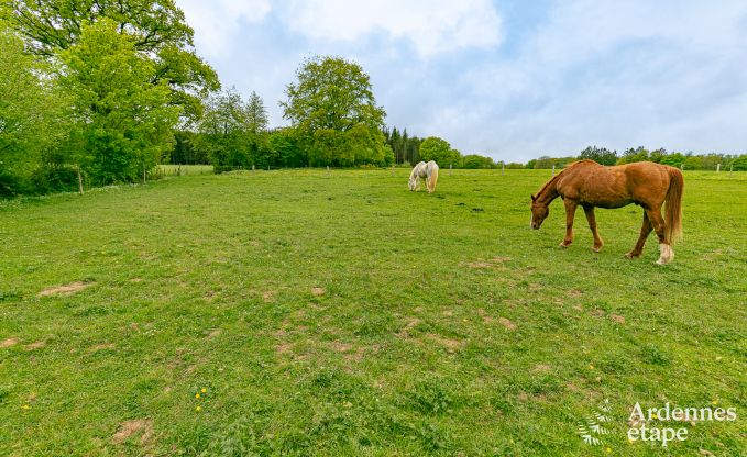 Ferienhaus Wellin 8 Pers. Ardennen
