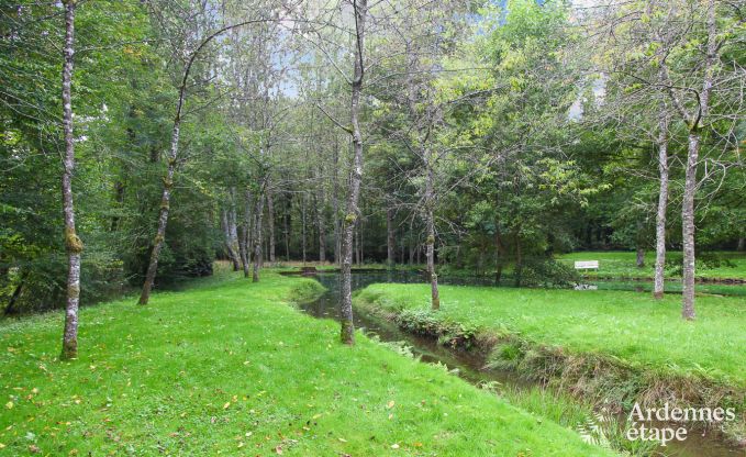 Ferienhaus Wellin 26 Pers. Ardennen Wellness