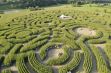 <p>Labyrinth</p> - 0