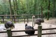 <p>Der Tierpark von Bouillon</p> - 3
